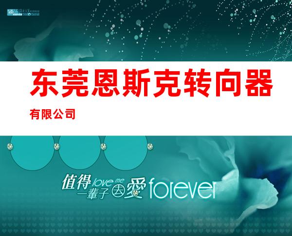 东莞恩斯克转向器有限公司